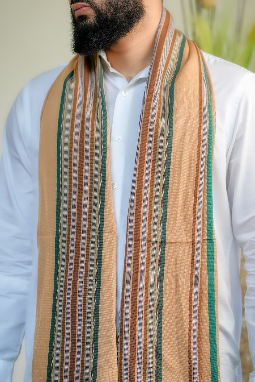 ‘Abyan' Mango Gold