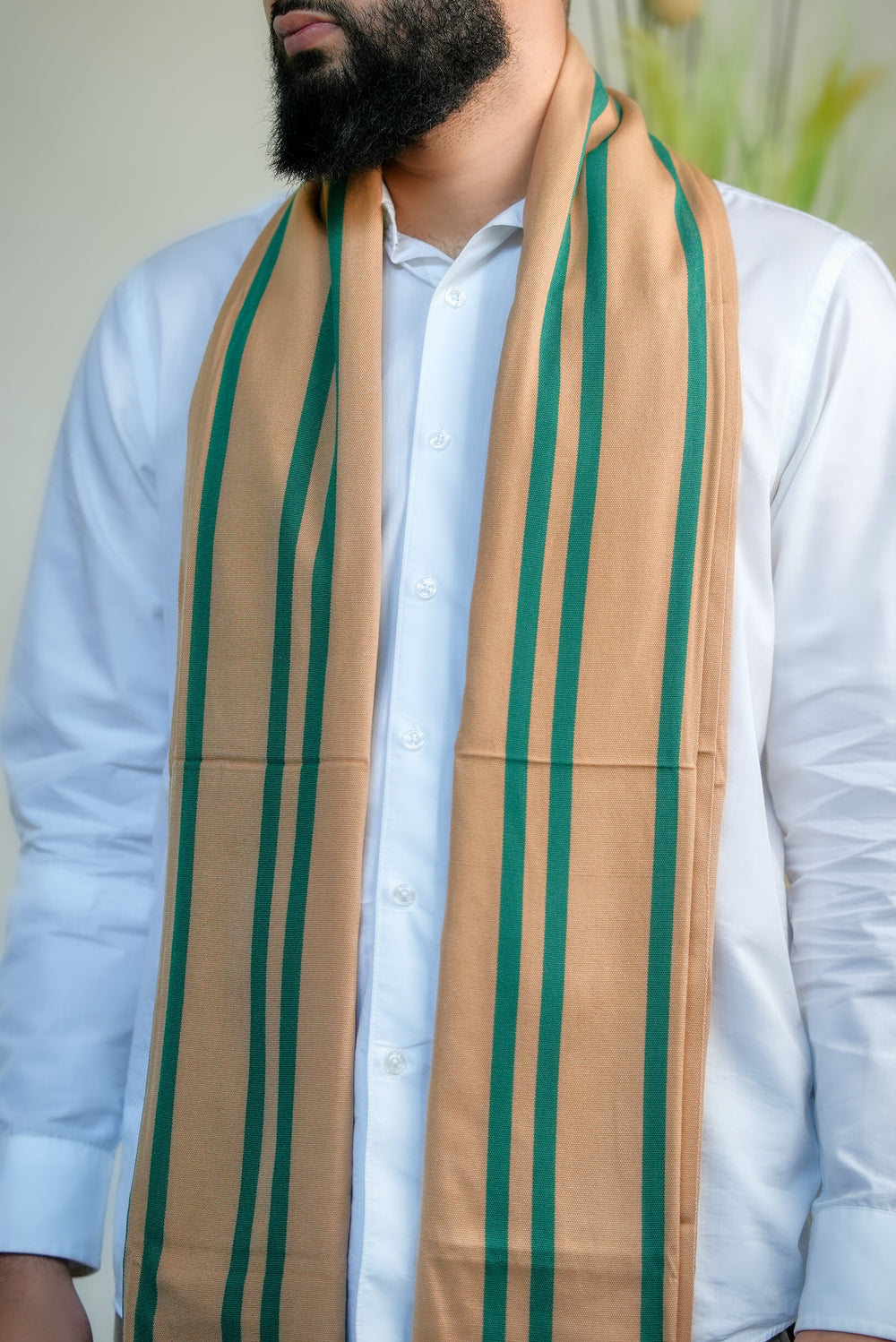 ‘Abyan' Mango Gold